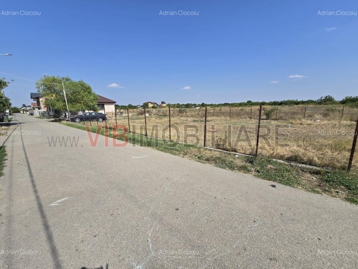 Teren Balotesti 400 mp -stradal - asfalt - 4