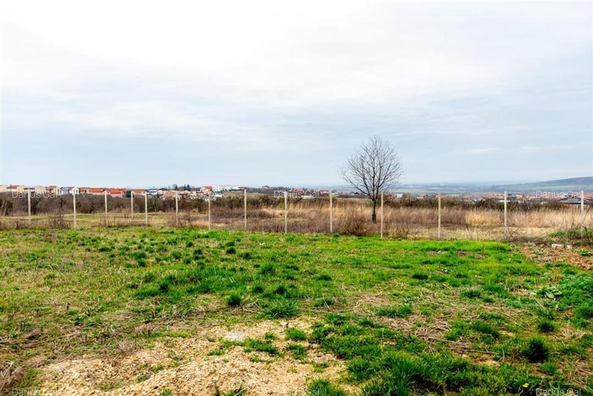 Teren Construcții intravilan de 535 mp, în Paleu - 6