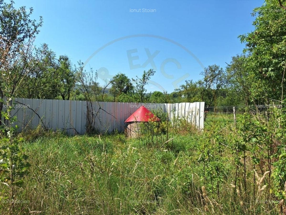 Proprietate industriala de vanzare - Hartiesti, jud. Arges - 3