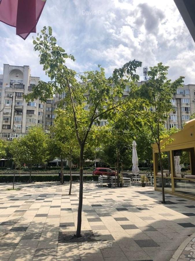 Spatiu comercial stradal || Zona Blvd Decebal || Terasa 110Mp  || Video - 10