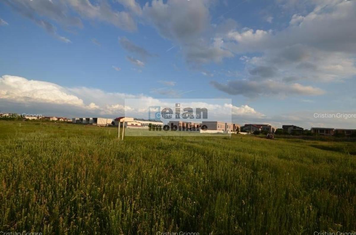 Voluntari - Matei Millo Teren 481 Mp Utili, Deschidere 20 Ml - 3