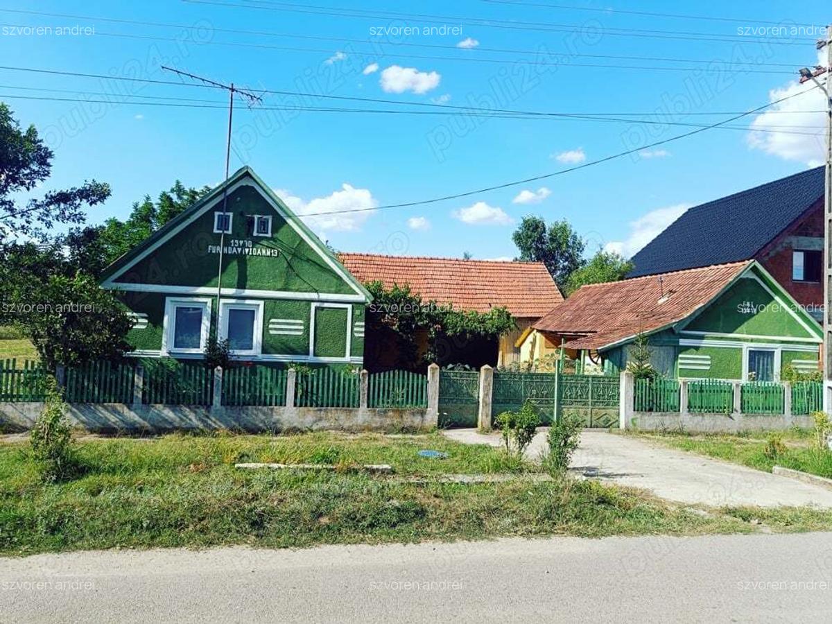 Casa de vanzare Sat Tes jud Timis - 4