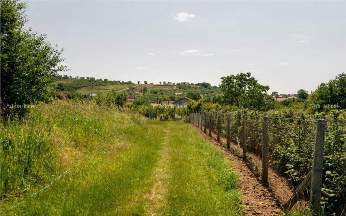 RECO Teren intravilan 1200 mp- front 30ml ,cu utilitati, Pa - 18