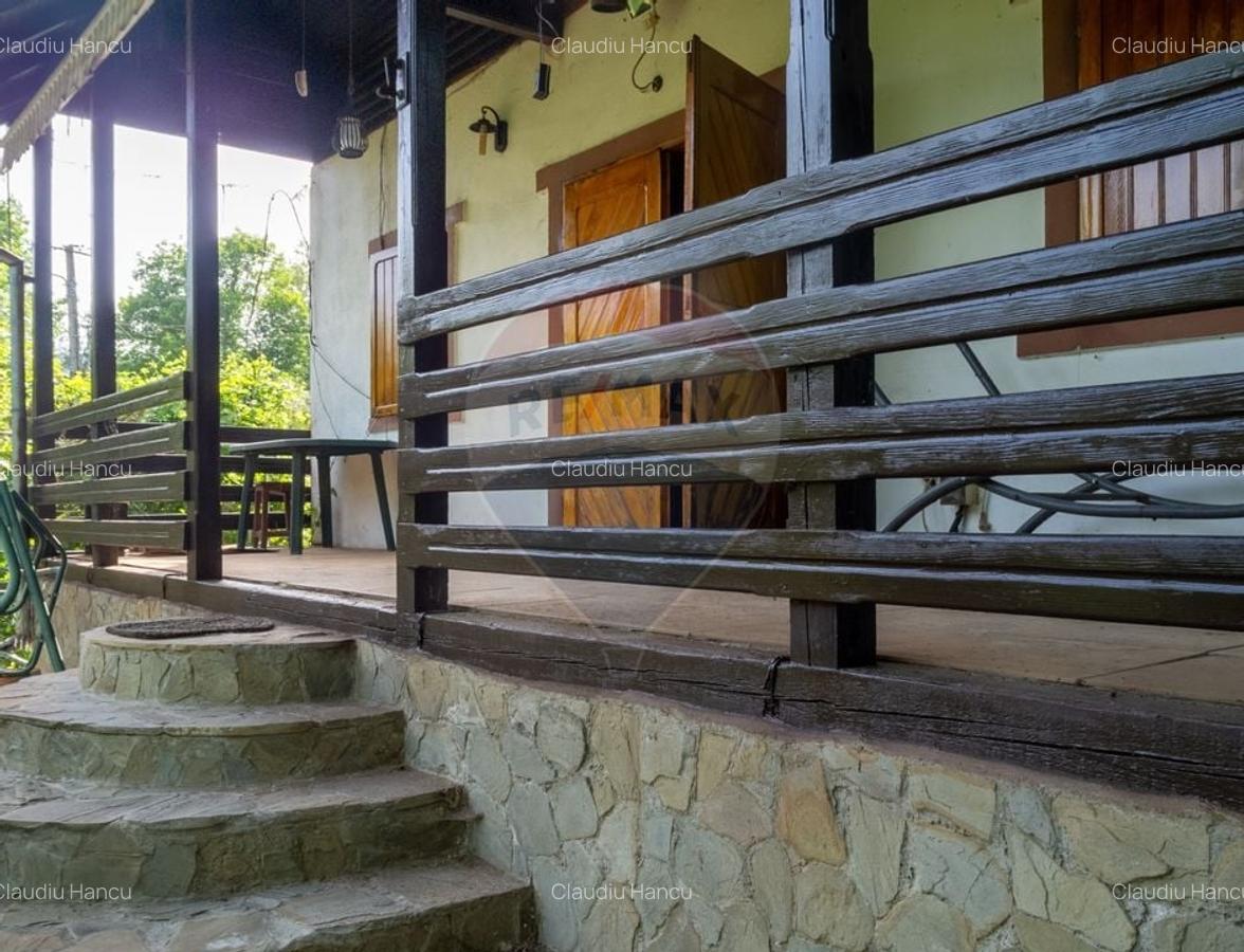 Casa de vacanta in Slanic Prahova | Zona Prajani - 13