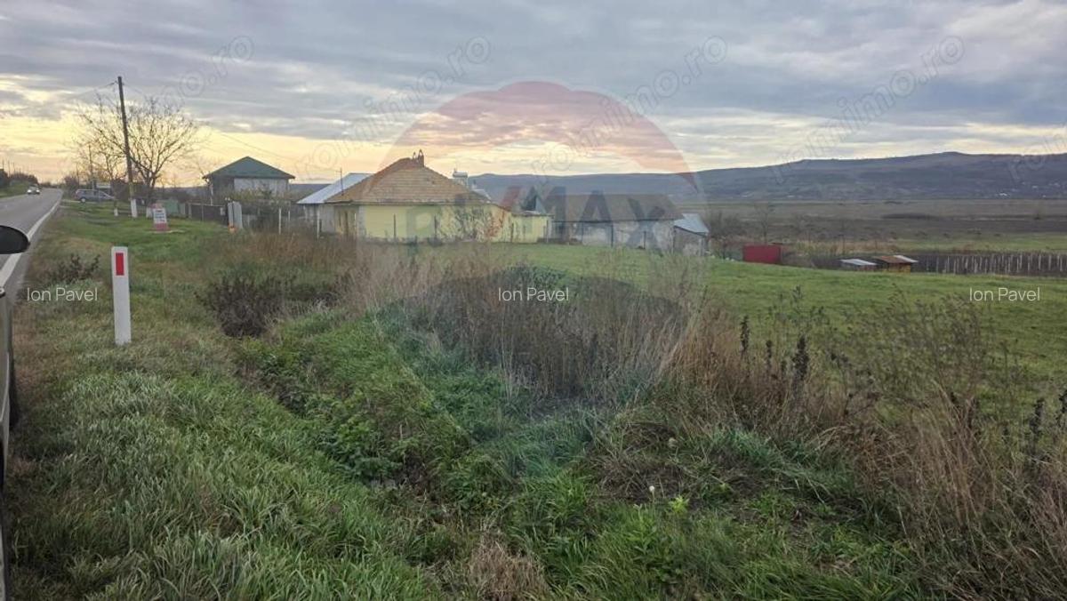 Teren intravilan si extravilan 8,282mp oras Negresti, judetul Vaslui - 6