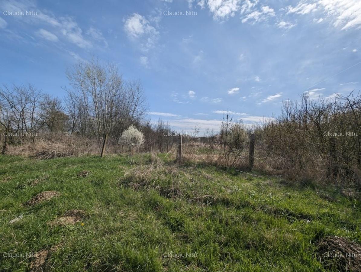 Teren intravilan Balint 22.500 mp - 4