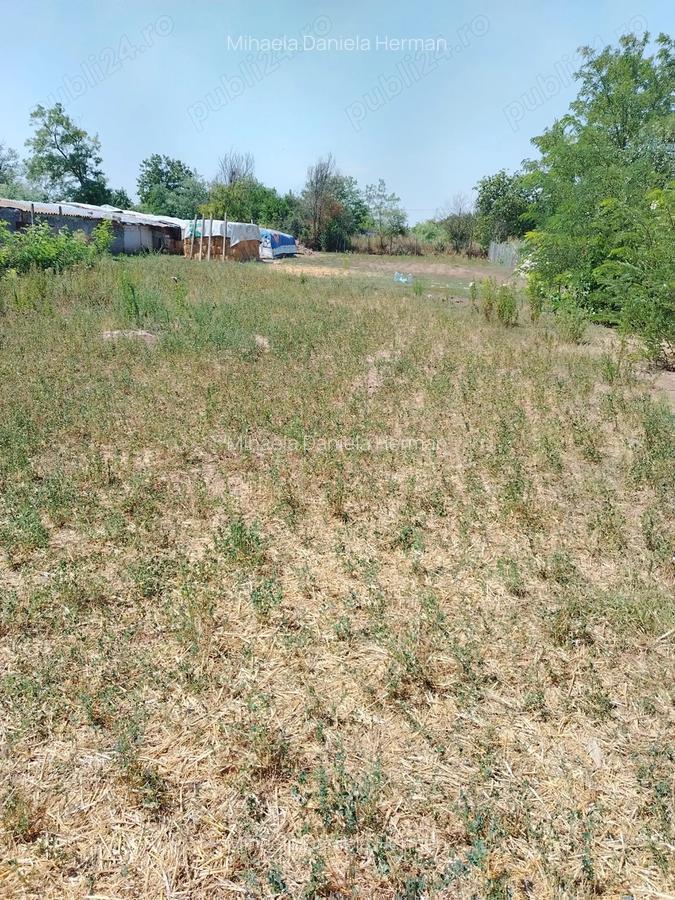 Casa de vanzare in sat LANURILE - 16