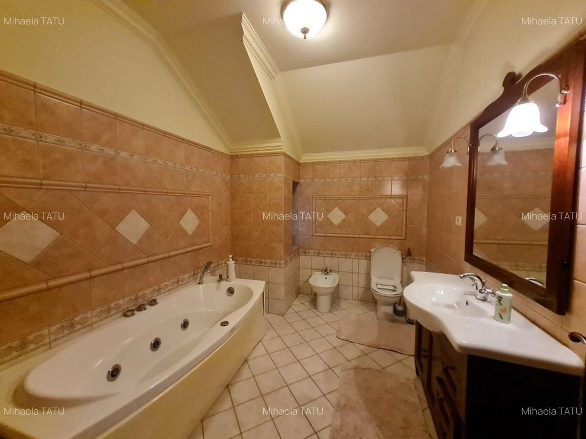 Poziție de top în Dumbravita - 13