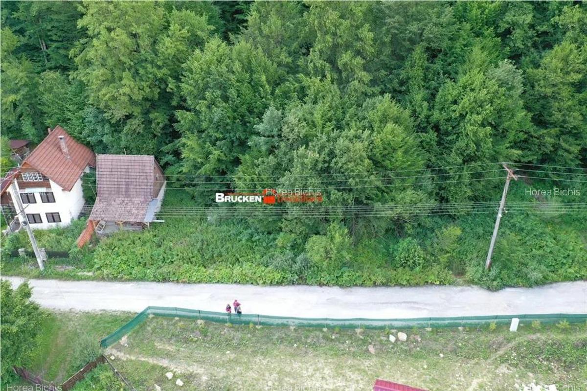 TEREN INTRAVILAN CONSTRUIBIL 400 mp | Statiunea Boga, com. Pietroasa, jud. Bihor - 3