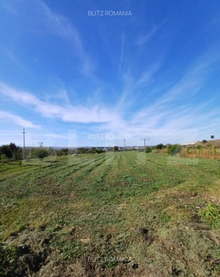 Teren extravilan, cu CF, 2963 mp, in Mihai Viteazu - 2