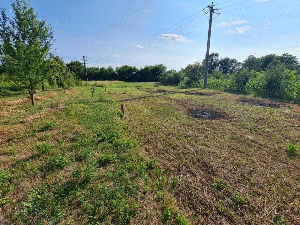 Casa si teren (79 km Bucuresti - 32 km Ploiesti - 17 km Targoviste) - 6