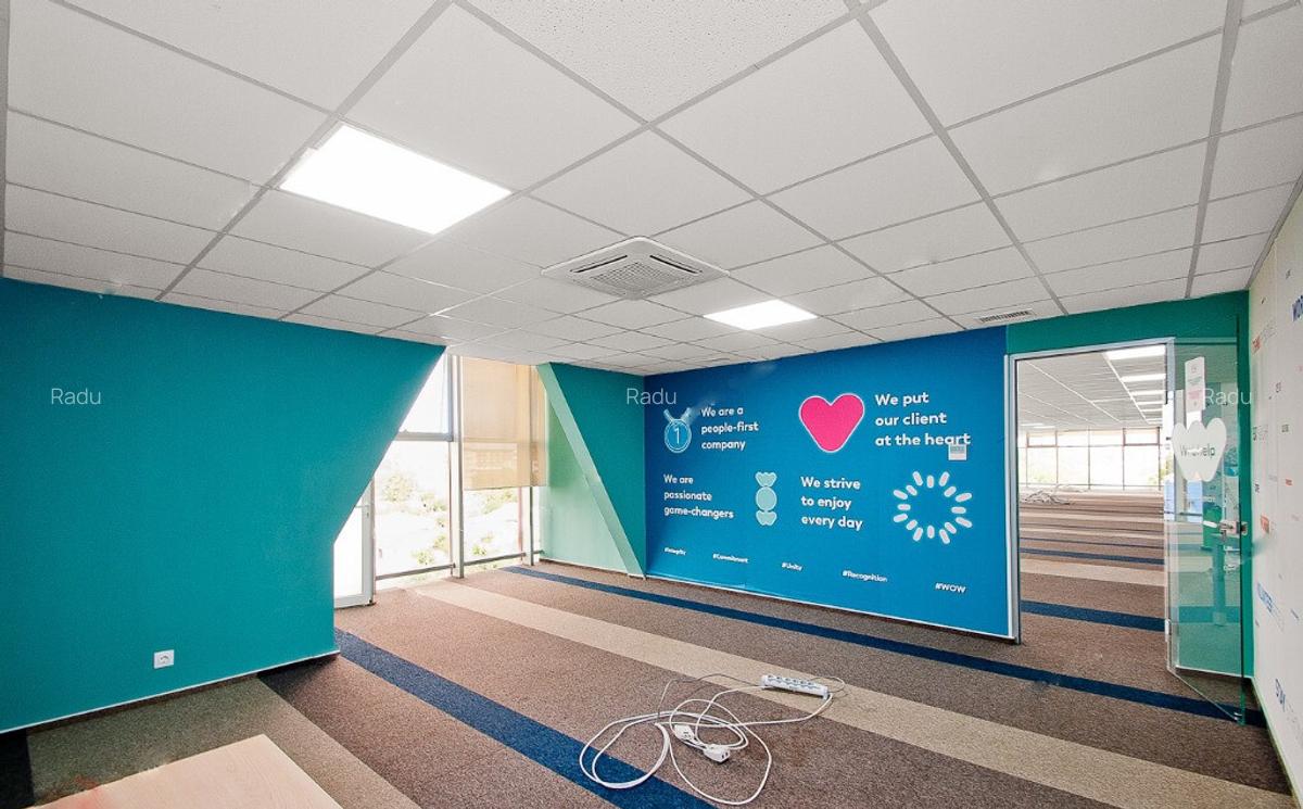 Bulevardul Cosbuc 116-118 - MaxFit - Birouri Premium - 10