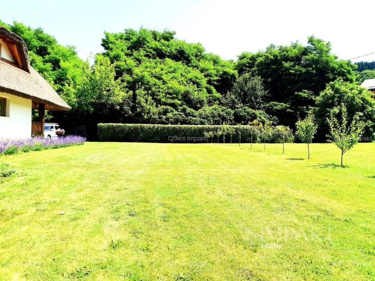 Casa traditionala de vis, aproape de Cluj-Napoca - 5