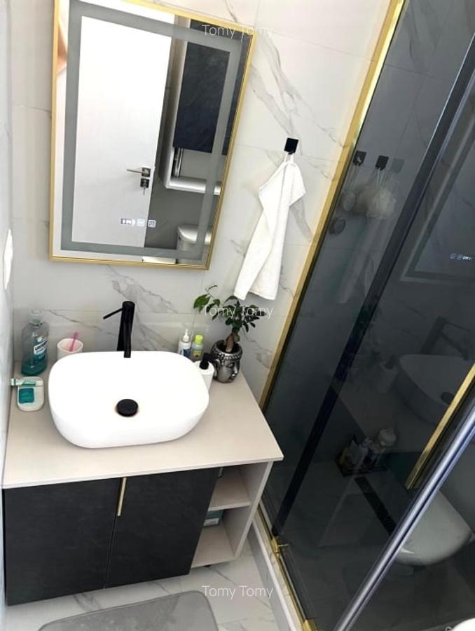 Apartament  Studio Mobilat  cu  Curte proprie  si loc de parcare - 2