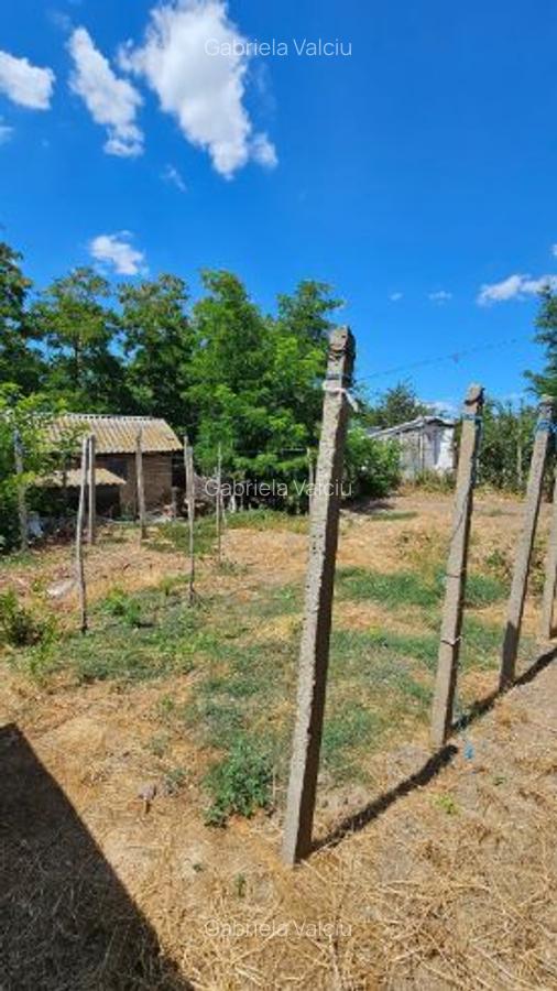 Casa la curte lângă balta Mostistea - 8