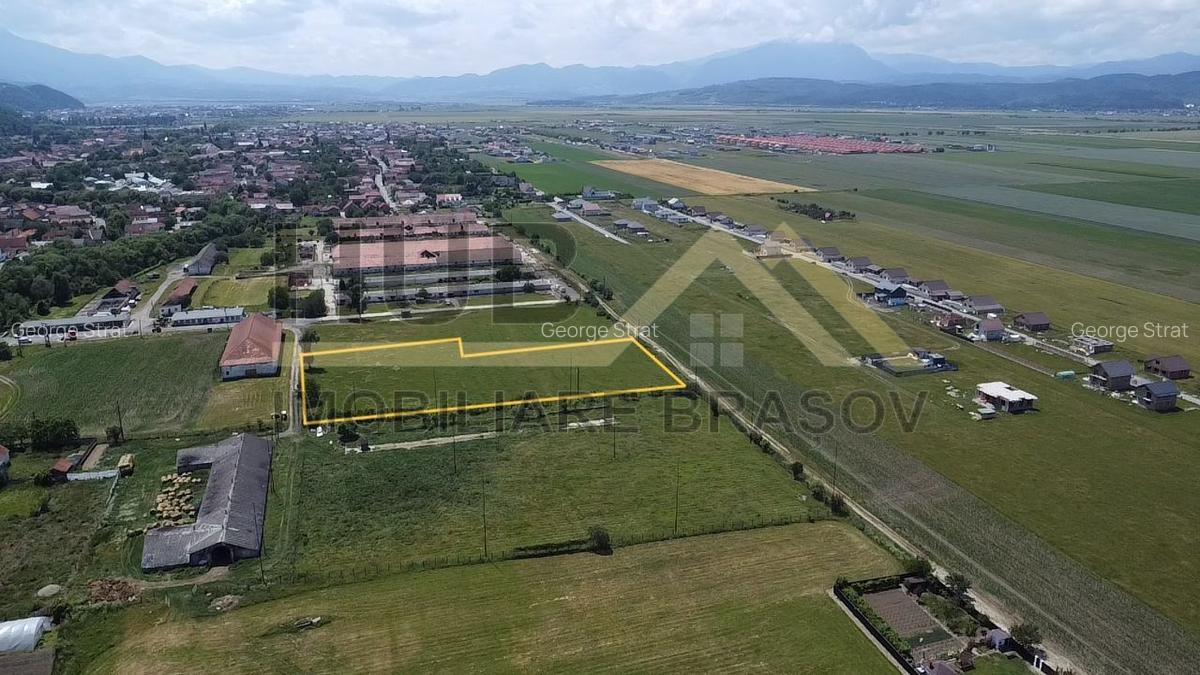 Oportunitate Investitie Cristian | Intravilan | Necesar PUZ | 9.650mp - 6