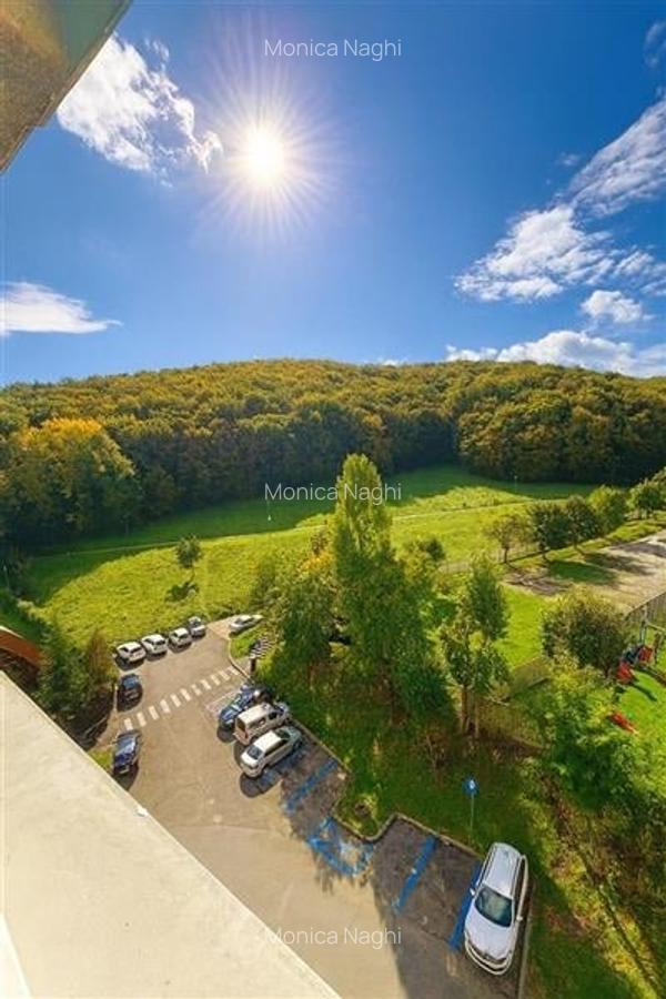 3D!Rezidenta decomandata,mobilata, accesorizata,priveliste montana,Racadau, Bras - 3