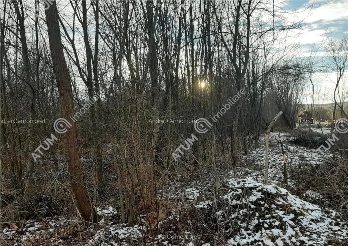 Teren Intravilan 1600 mp in Avrig zona Valea Avrigului - 1