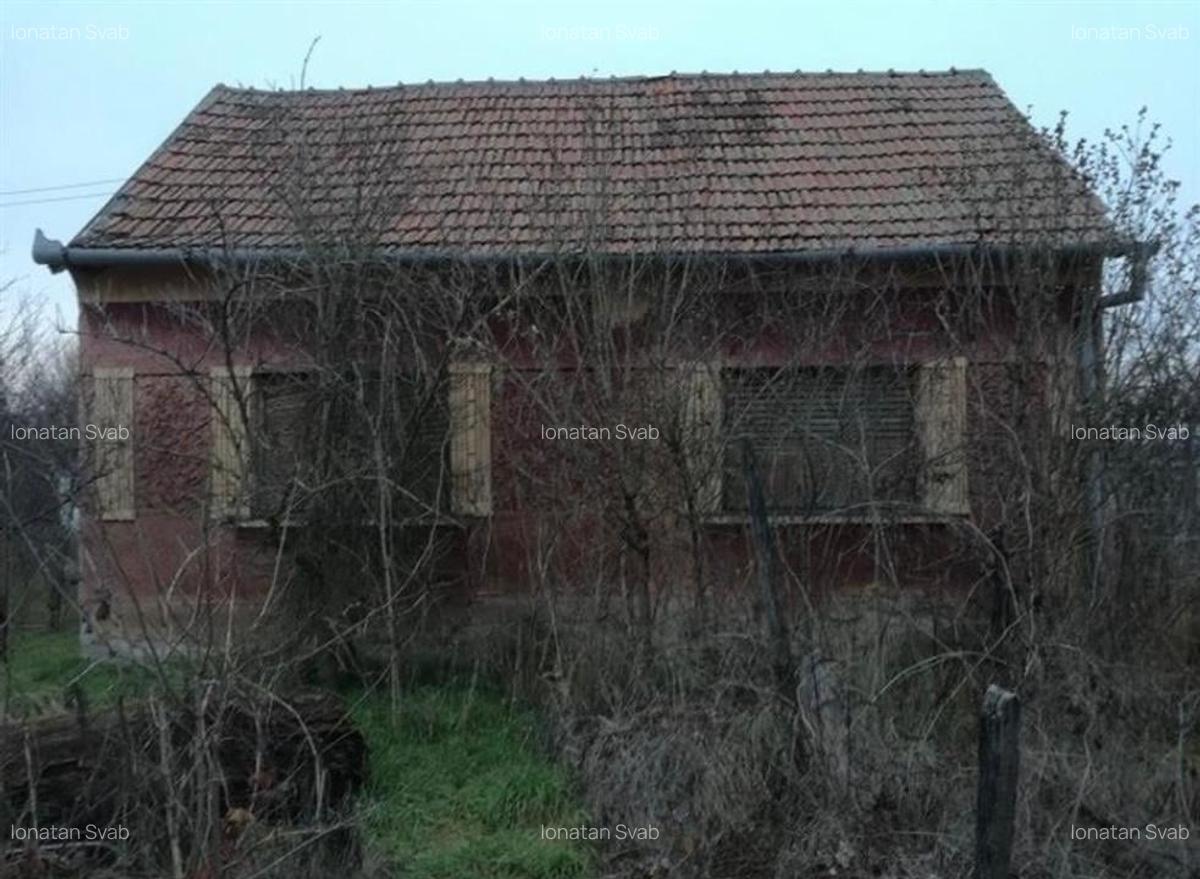 RECO Casa in Ciumeghiu la 18km de Salonta - 3