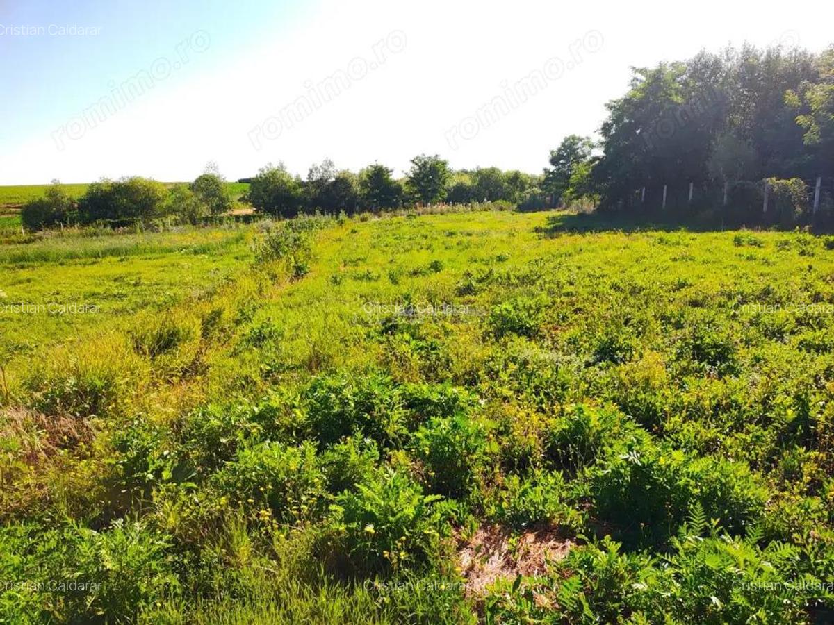 Teren 18.247 mp cu balta de pescuit Misca, Comuna Chislaz, Bihor - 10