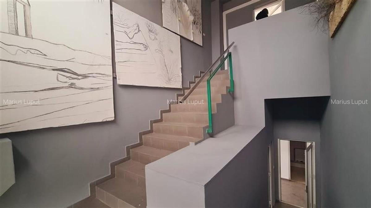 Spațiu comercial, 450 mp în Ciarda Roșie - 4