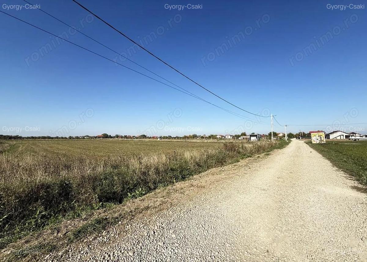 5000 mp. teren intravilan - Les - IMOBIHOR - 4