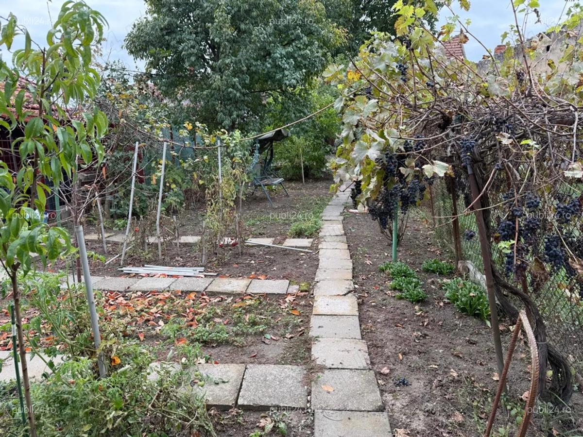 Vand casa cu gradina in zona Lunei Printul Turcesc - 9