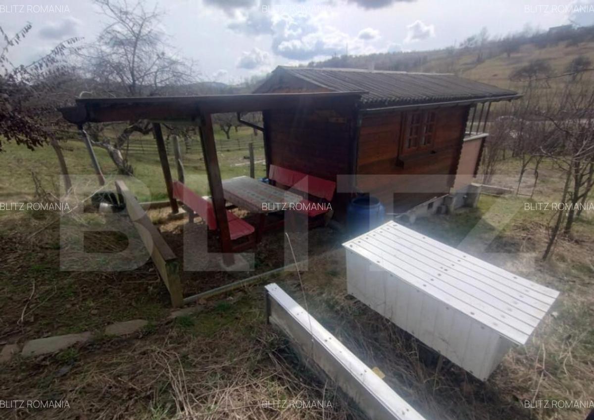 Teren 300 mp + Cabana,zona Livezile,Valea Lunga - 13
