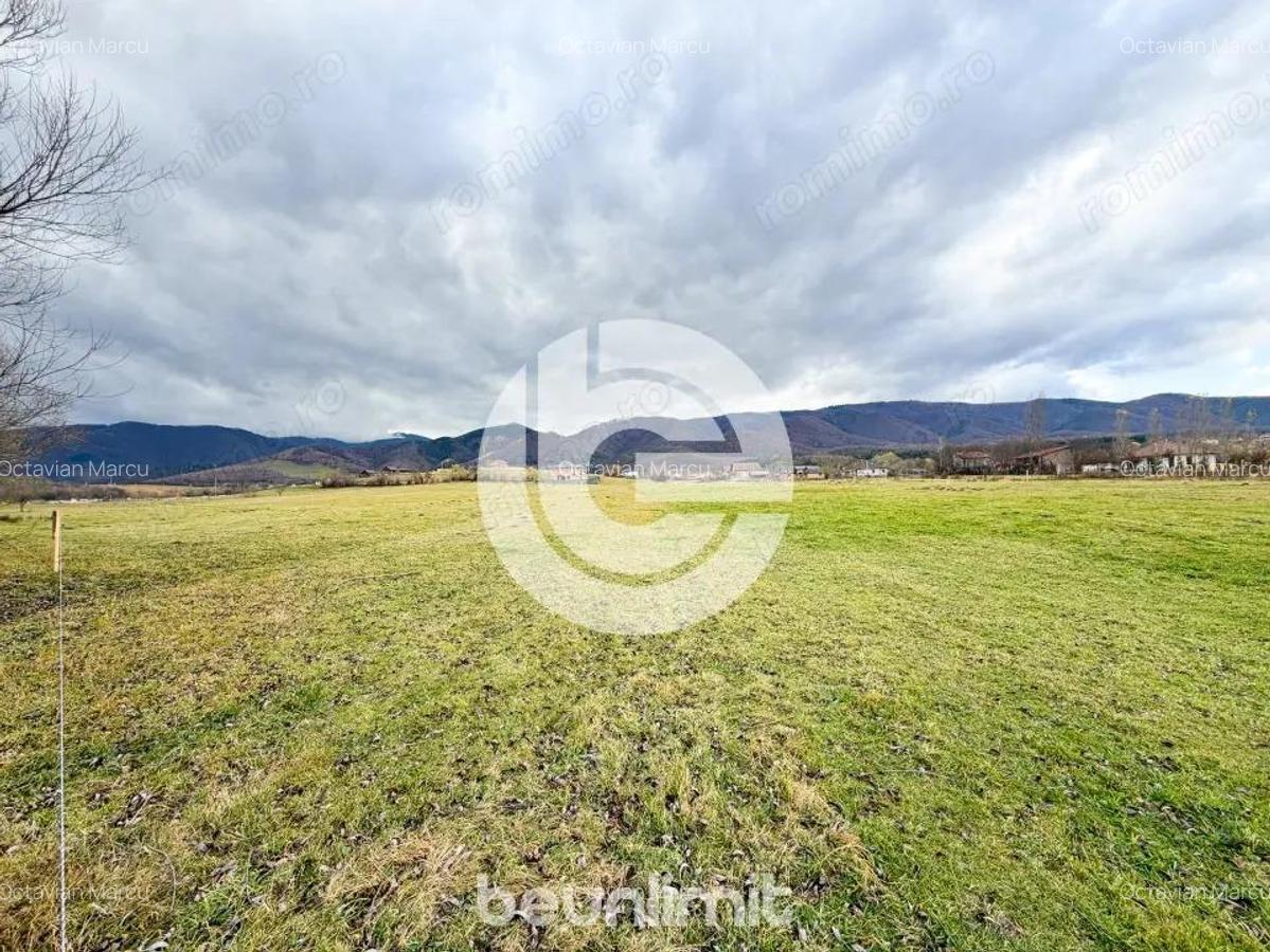 Teren intravilan in Tocile - 4354 m2 - 2 fronturi - oferta competitiva - 19