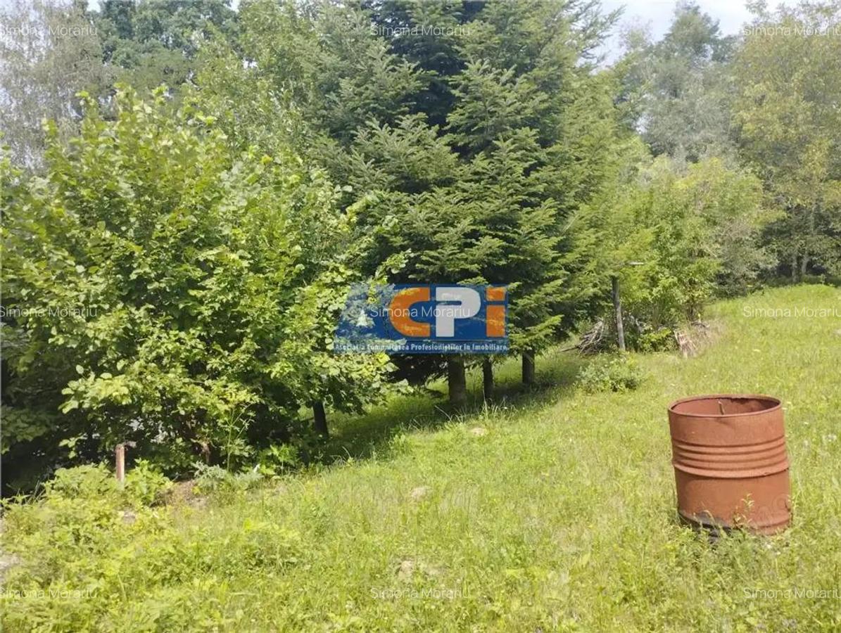 Casa Podis, Margineni - 8