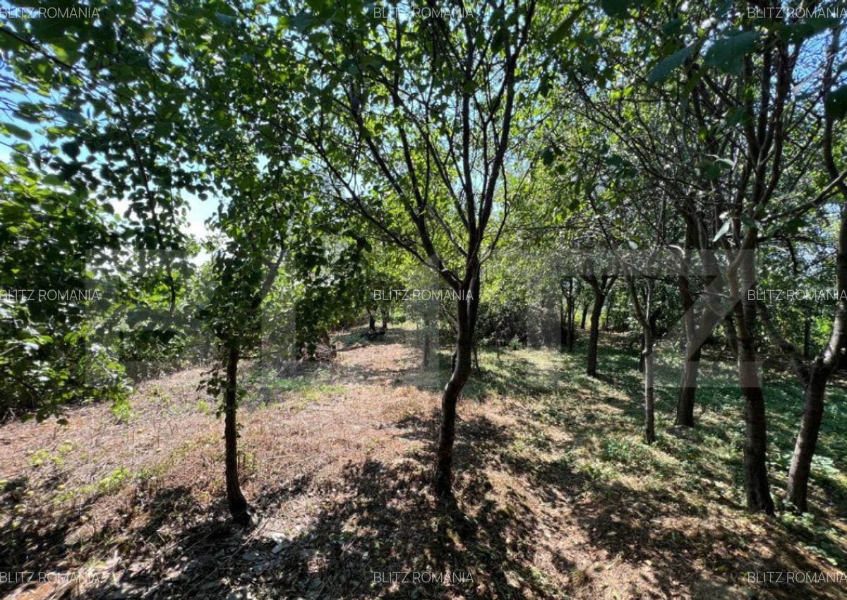 Casa in Pomi cu acoperis nou, Jud. Satu Mare - 12