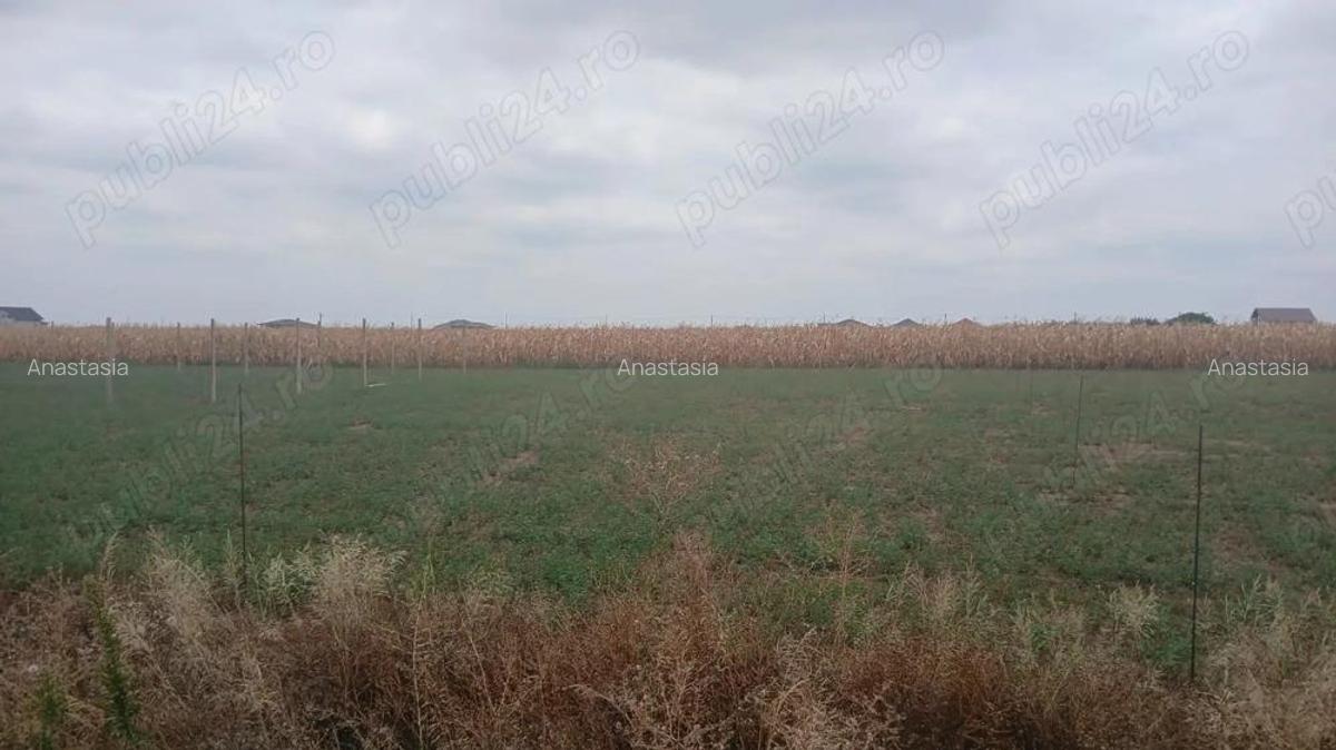 Teren intravilan 503 mp Livada de Bihor, la doar ca?iva km de Oradea - 1