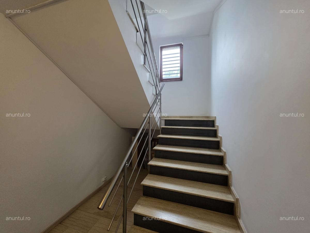 Ion Mihalache-Domenii - 7