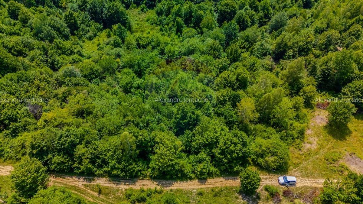 Teren intravilan de 1551 mp, în Grid - 17