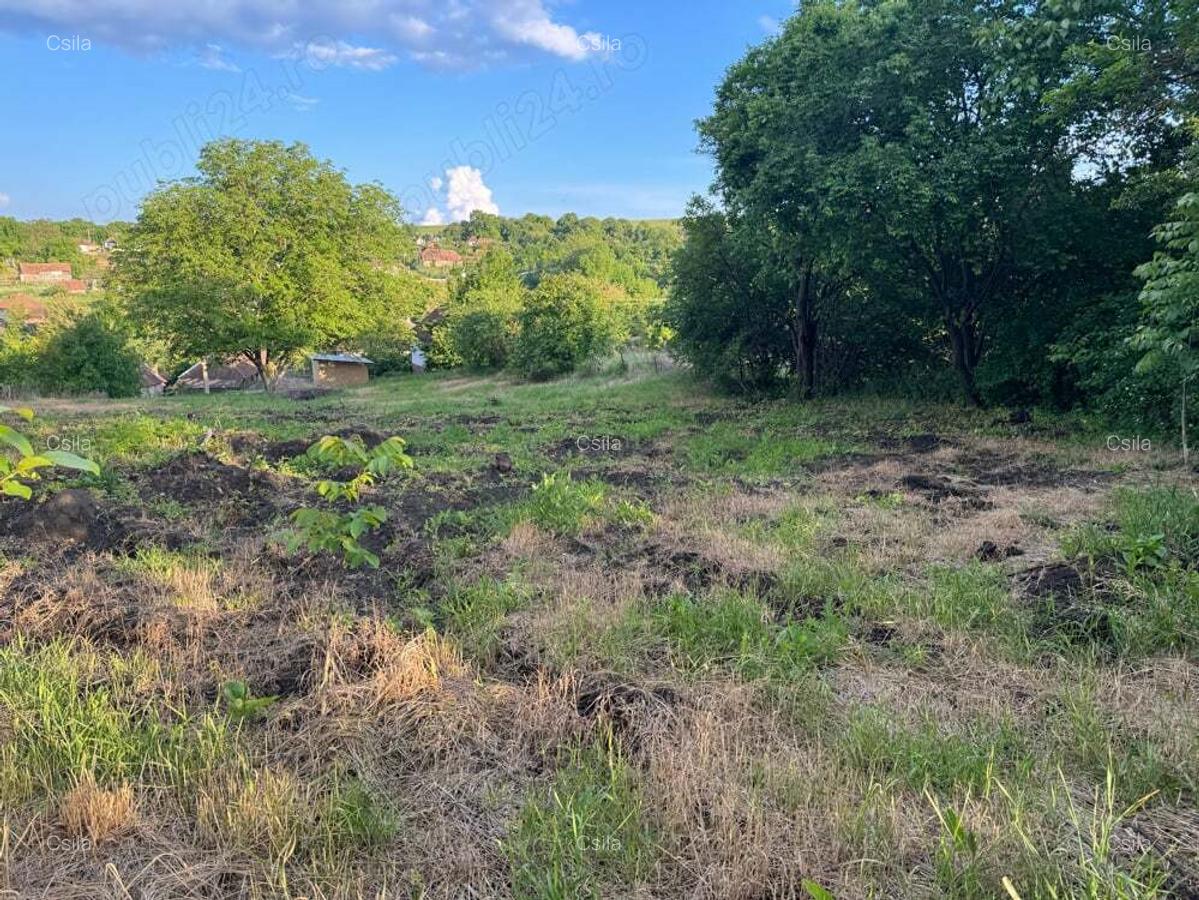 Casa de vanzare Com. Calarasi Turda - 5