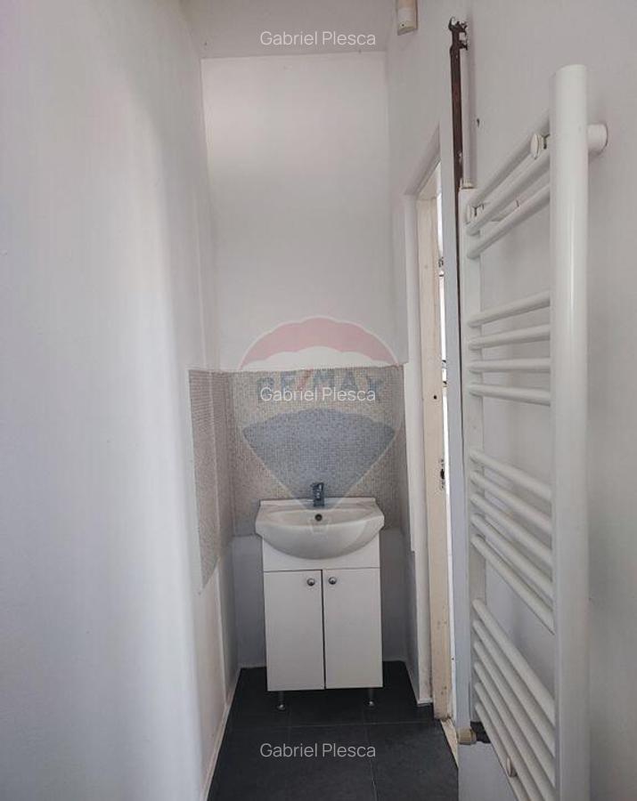 Hala Industriala, Parcul Industrial, Bor?, De Inchiriat - 12