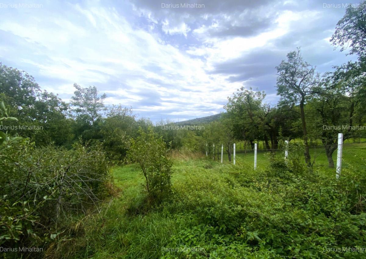 OCAZIE! Casa cu teren central Ra?inari toate utilita?il - 19