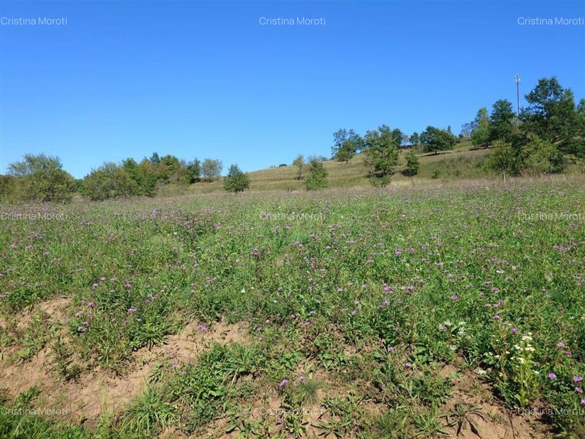 Teren intravilan 8757 mp cu potential turistic si acces direct la E79 - 14