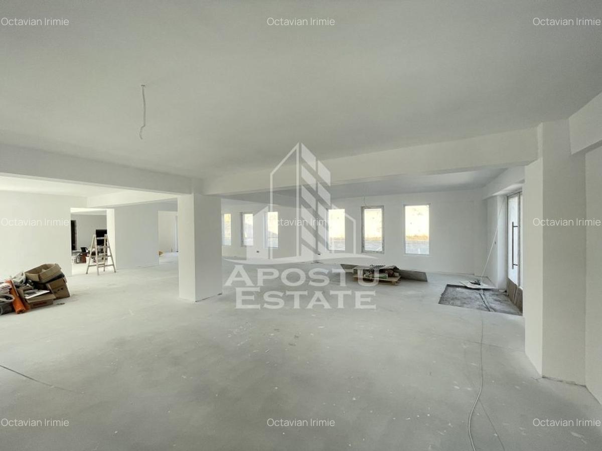 Spațiu comercial, 238 mp în Lipovei - 5