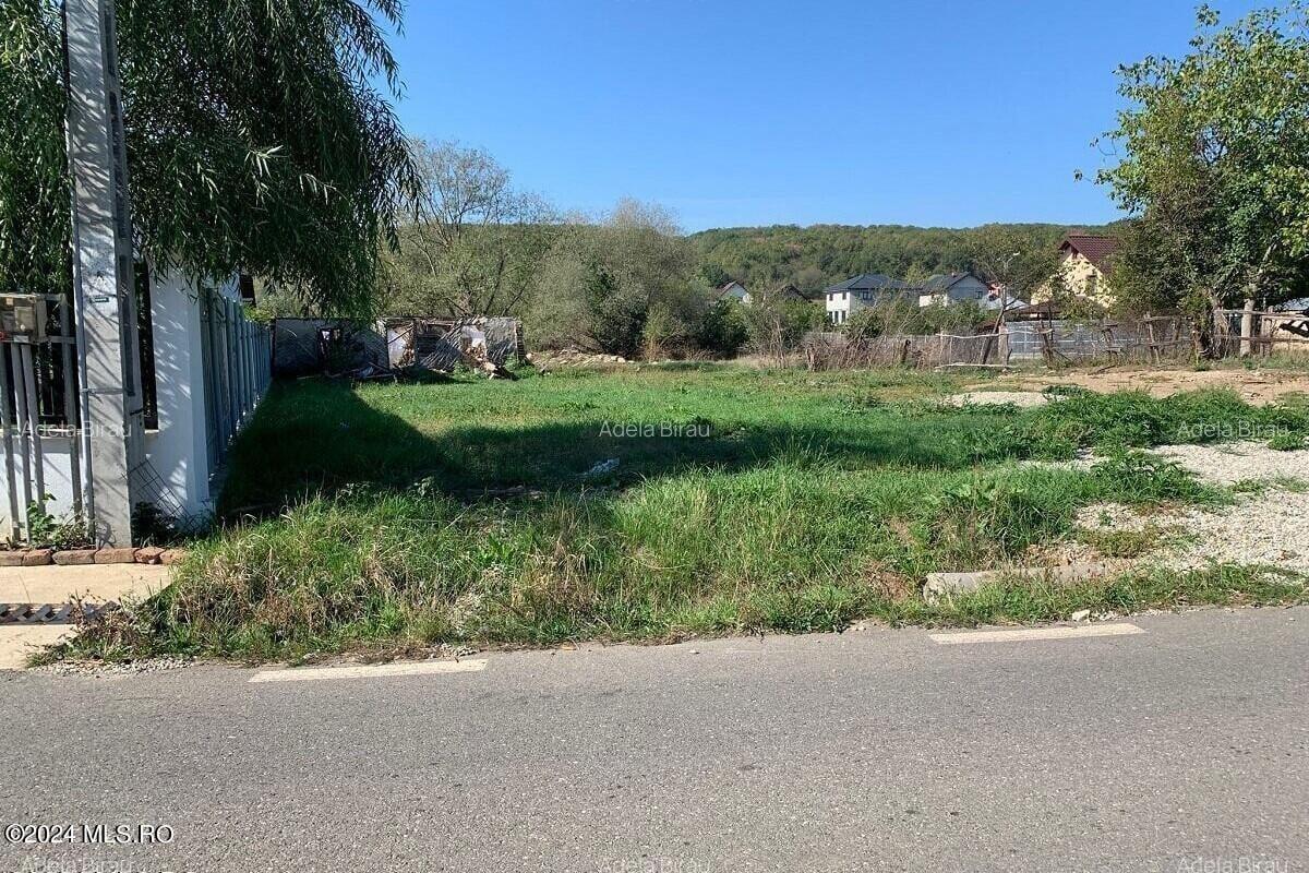 Smeura de Sus - Teren 1428 Mp Dupa Colina Verde, la 2 Km de Trivale! - 5