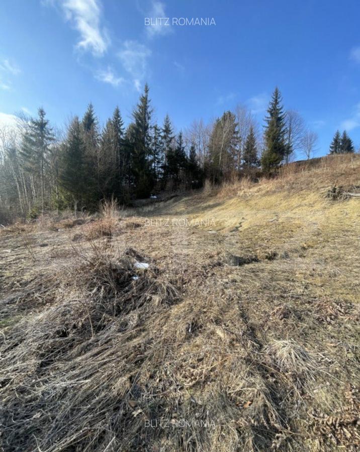 Teren intravilan de vanzare, 15 ari, zona COLIBITA - 2