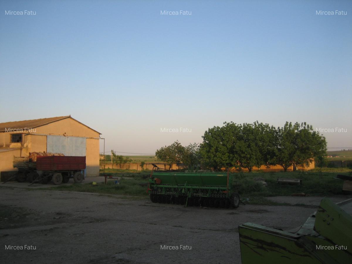 Teren Construcții intravilan de 14613 mp, în Poarta Albă - 12