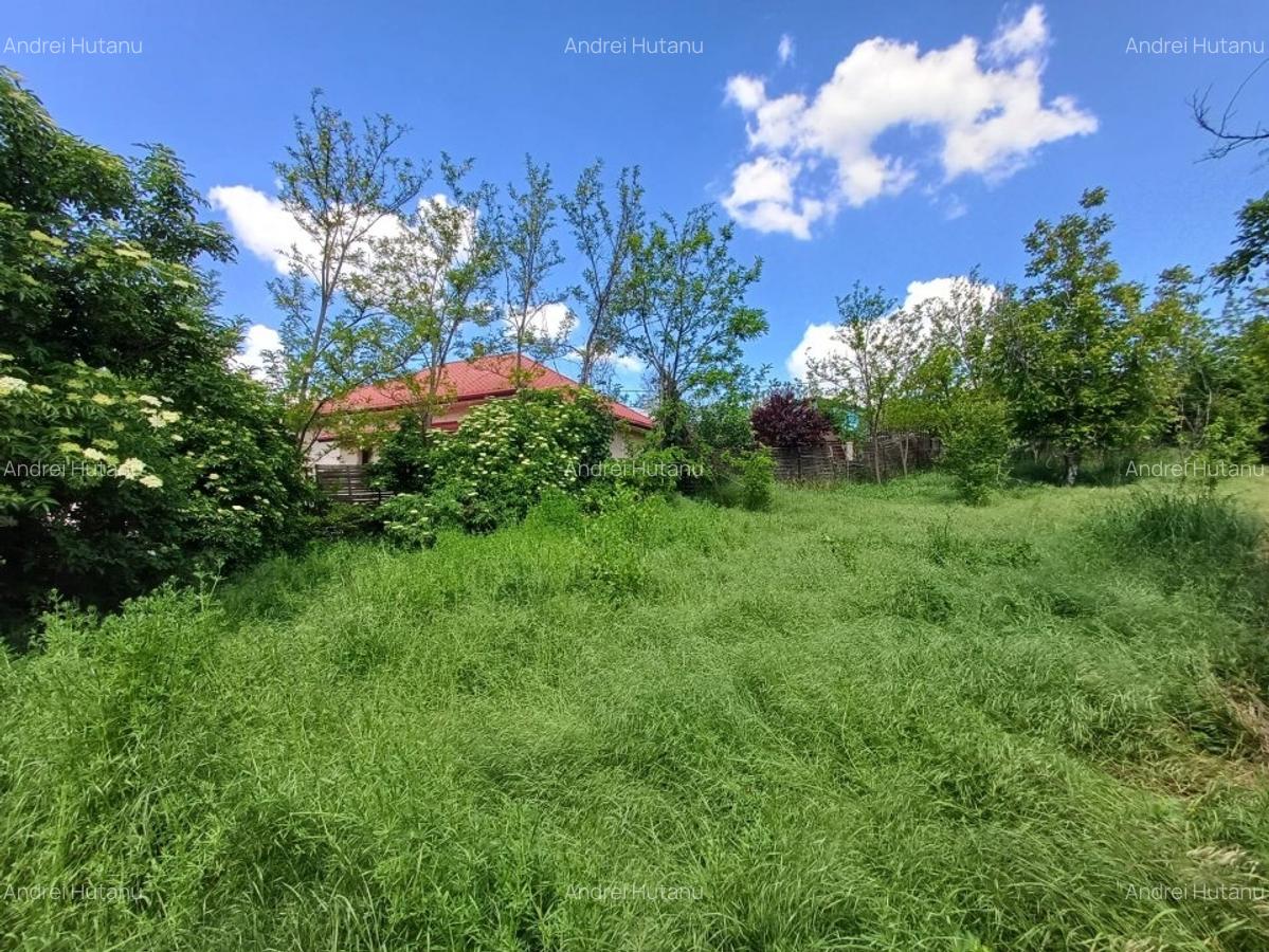 TEREN INTRAVILAN , LANGA PRIMARIA REDIU , 602 MP - 2