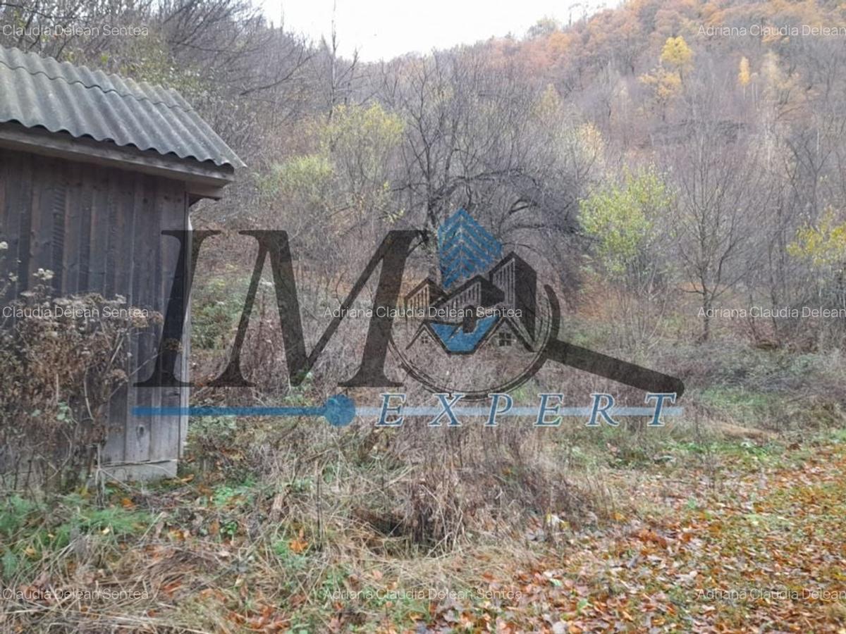 Teren extravilan direct la șoseaua TRANSALPINA - 4