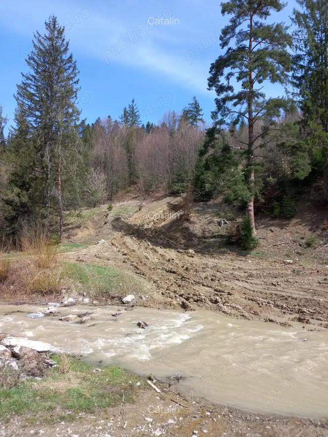 Vand teren Humor - Voronet 22.250 mp - 9