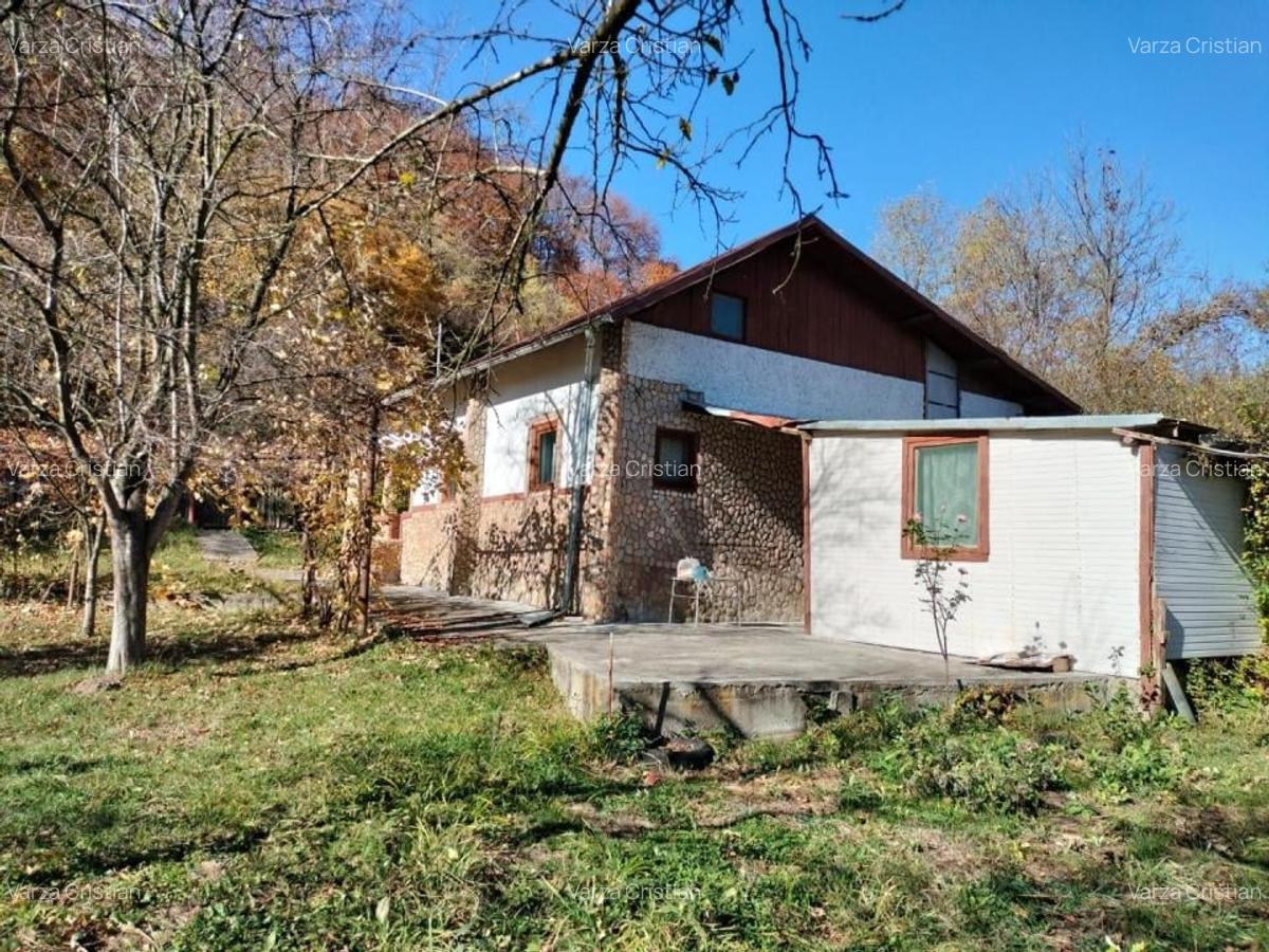 Iedera, Cricovul Dulce, casa de vanzare 90mp, teren 2450mp - 7