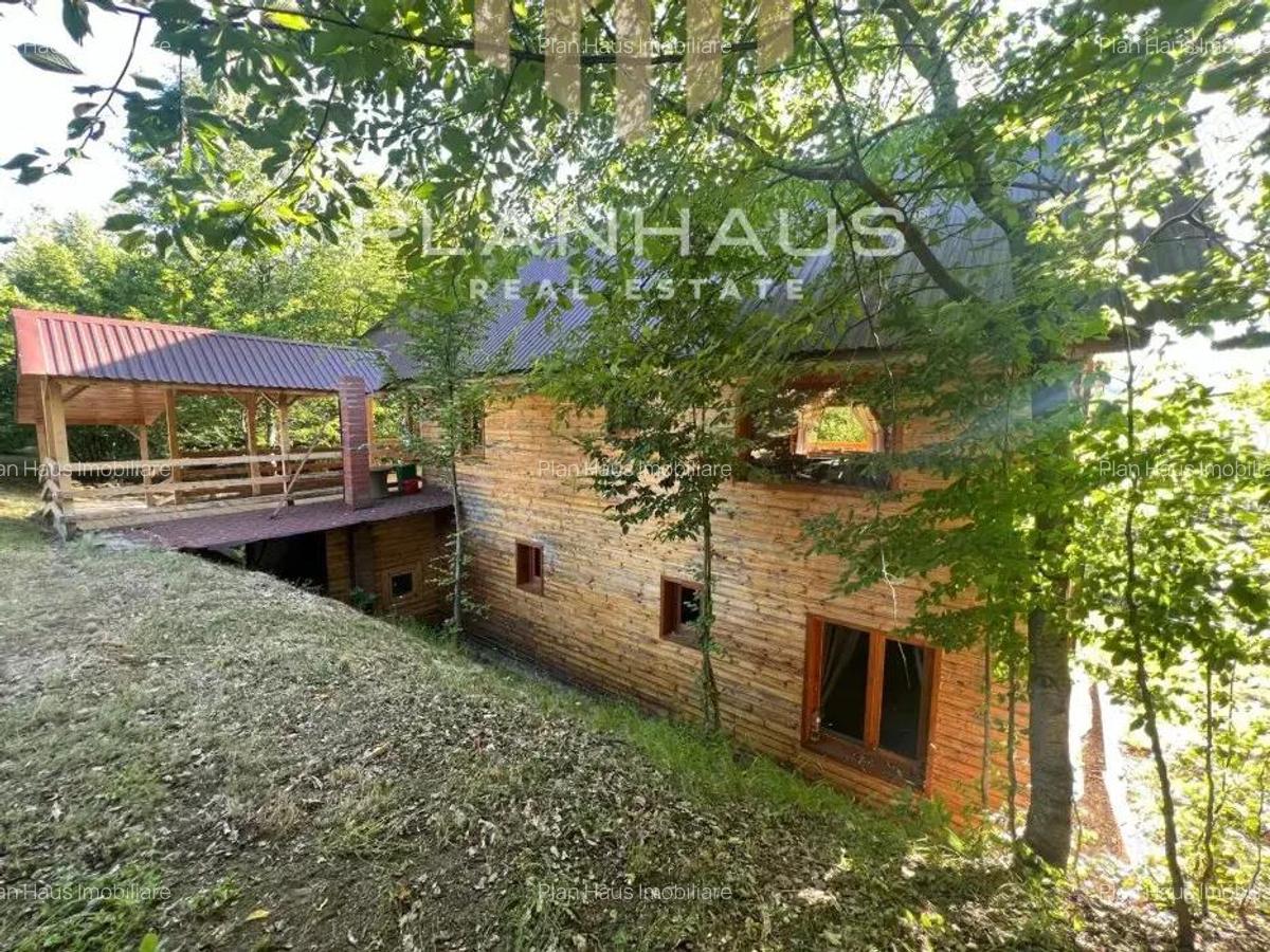 Oportunitate! Cabana de vis la Firiza 5 dormitoare, living spa?ios ?i teren generos de 4700 mp! - 8