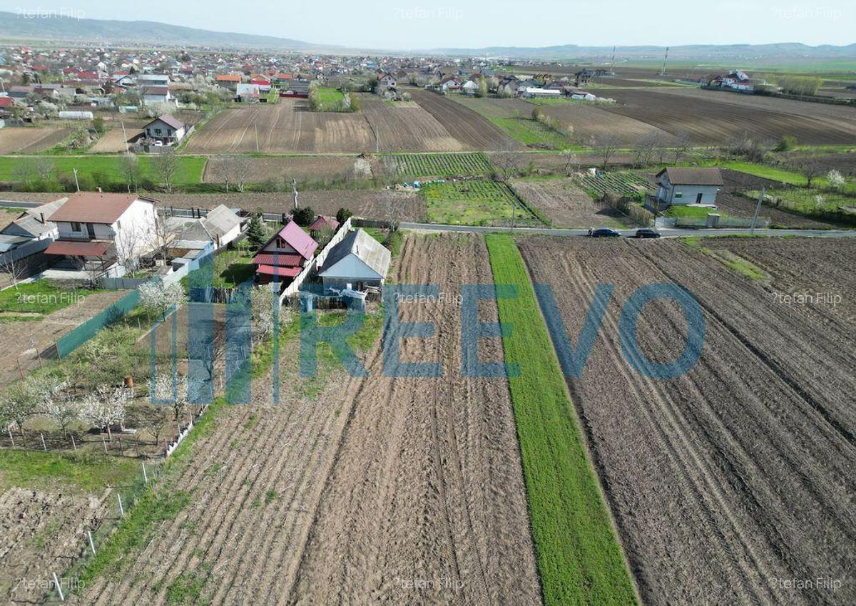 Teren de vanzare, Com. Nicolae Balcescu, Jud. Bacau - 27 Teren de vanzare, Com. Nicolae Balcescu, Jud. Bacau - 27