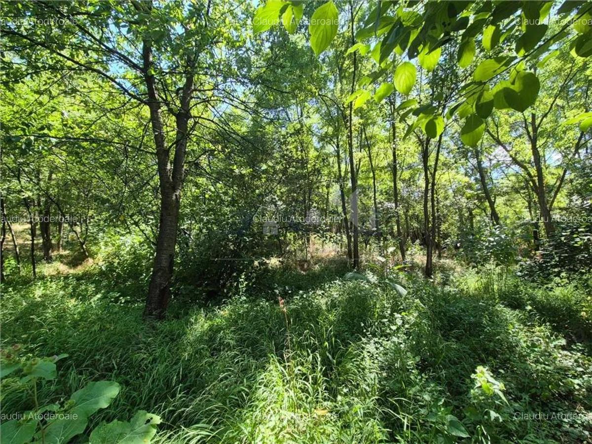 Casa de vanzare cu priveliste frumoasa - 19