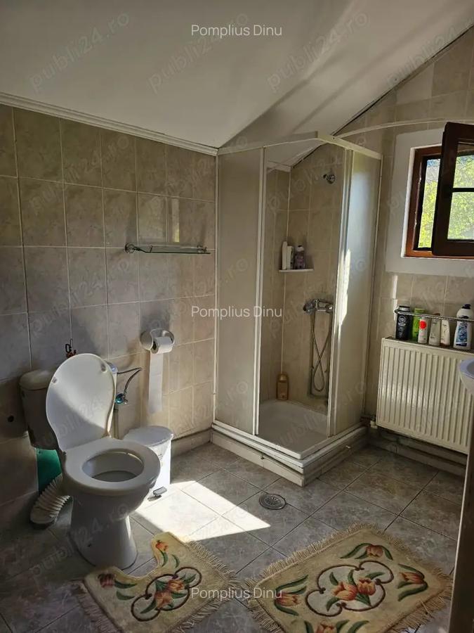 Vand casa vacanta la munte zona Herculane 165 000 - 6